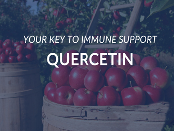 Why Is Quercetin Powder A Valuable Ingredient In Immune-Boosting Products?